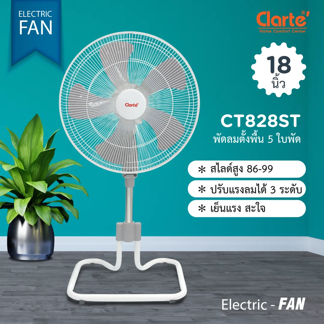 CT828ST-1z-z309038354361