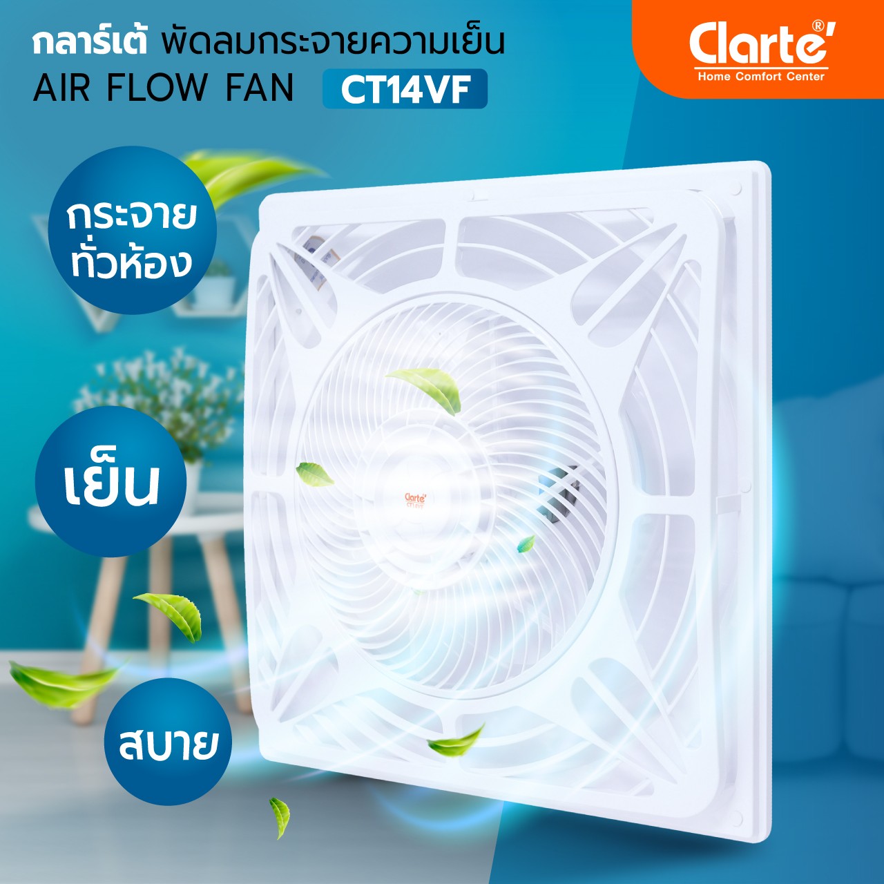 ClarteCT14VF01z-z136075767918